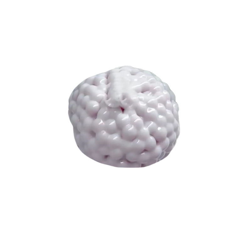 Milk Pearl Squishy Toy