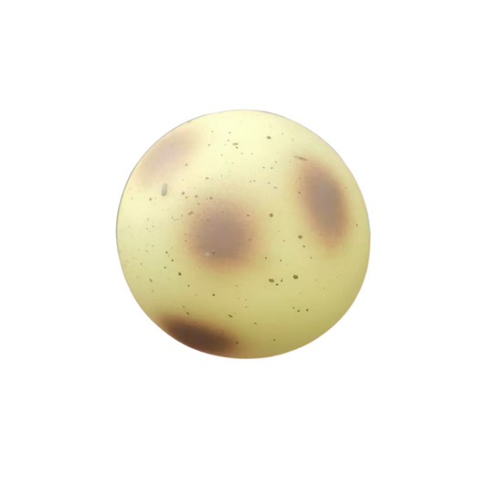 Potato-shaped Stress Relief Fidget Toy